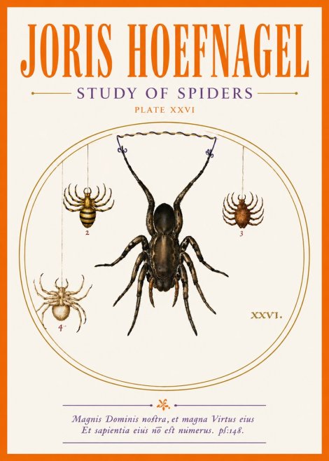 Joris Hoefnagel Study of Spiders No5 - Poster