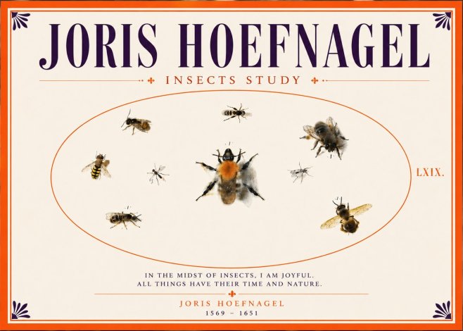 Joris Hoefnagel Insects Study II No5 - Poster