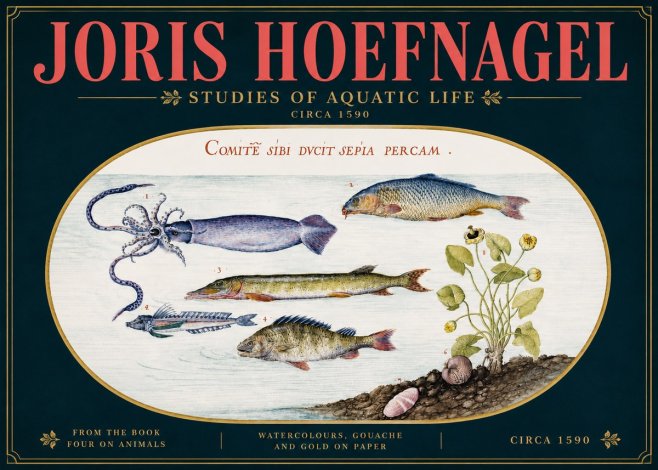 Joris Hoefnagel Comitẽ Sibi Ducit Sepia Percam. No5 - Poster