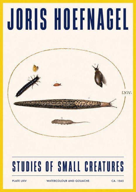 Joris Hoefnagel Plate Lxiv No3 - Poster