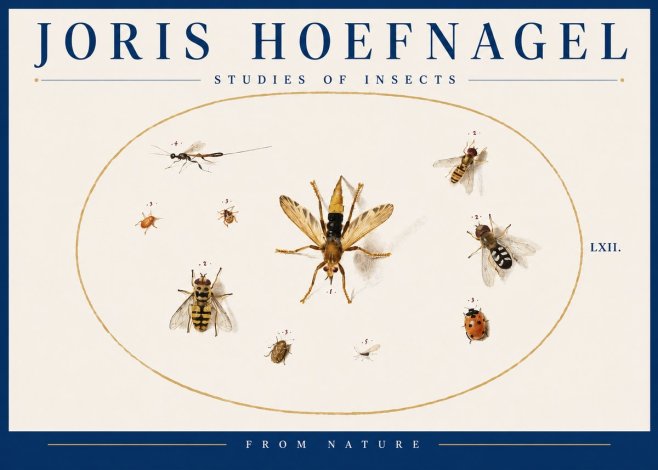 Joris Hoefnagel Studies of Insects IV No4 - Poster