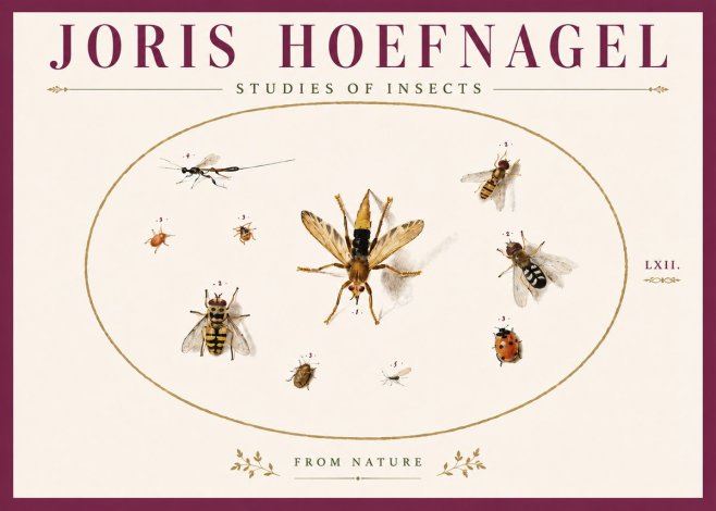 Joris Hoefnagel Studies of Insects IV No6 - Poster