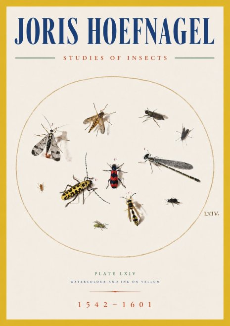 Joris Hoefnagel Studies of Insects - Plate Lxiv No5 - Poster