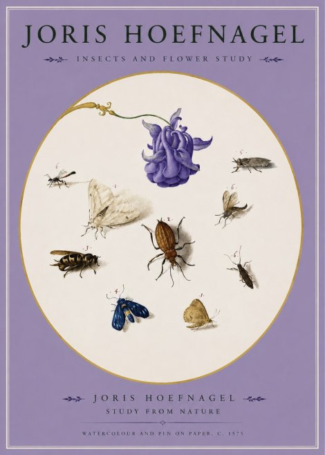 Joris Hoefnagel Studies of Insects and Flowers No3 - Poster