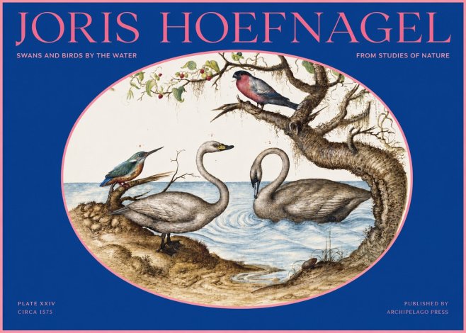 Joris Hoefnagel Swans and Birds by the Water No2 - Poster