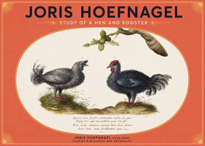 Joris Hoefnagel Study of a Hen and Rooster No3 - Poster