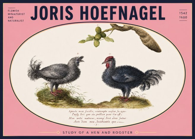 Joris Hoefnagel Study of a Hen and Rooster No5 - Poster