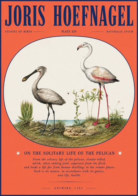 Joris Hoefnagel The Solitary Sanctuary of the Spoonbill and the Flamingo No4 - Poster