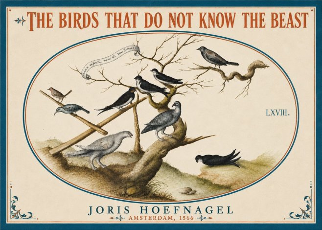 Joris Hoefnagel Birds Study No6 - Poster