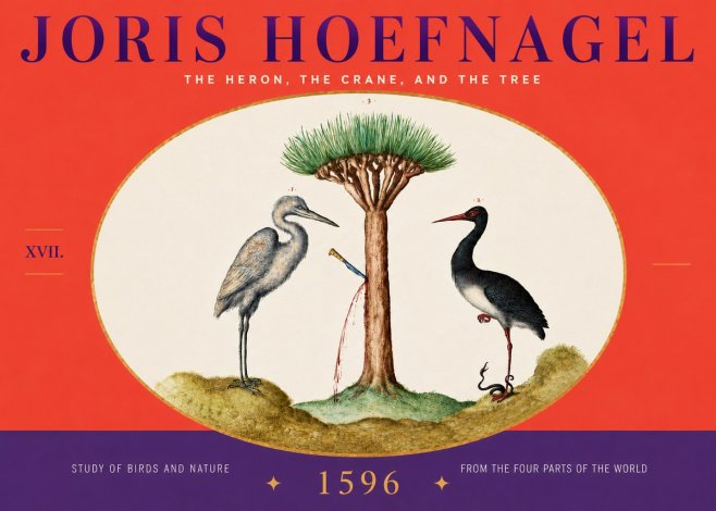 Joris Hoefnagel The Heron, the Crane, and the Tree No4 - Poster