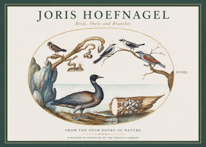 Joris Hoefnagel Birds, Shells and Branches No1 - Poster