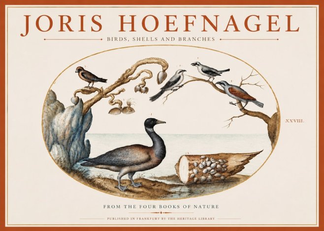 Joris Hoefnagel Birds, Shells and Branches No3 - Poster