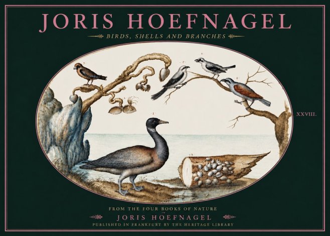 Joris Hoefnagel Birds, Shells and Branches No4 - Poster