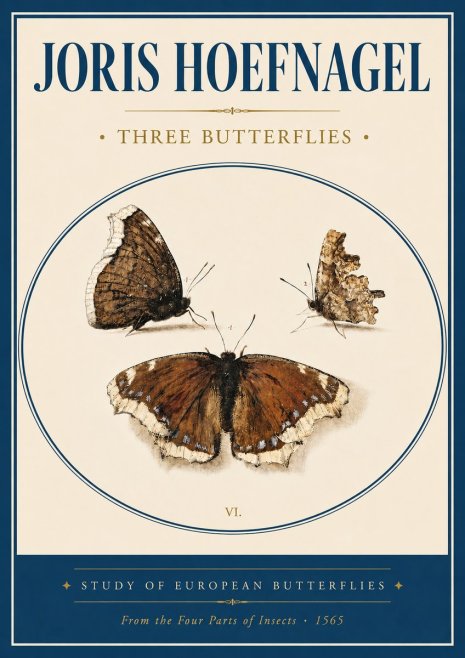 Joris Hoefnagel Three Butterflies I No4 - Poster