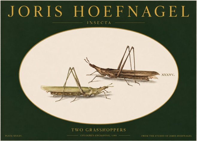 Joris Hoefnagel Two Grasshoppers No2 - Poster
