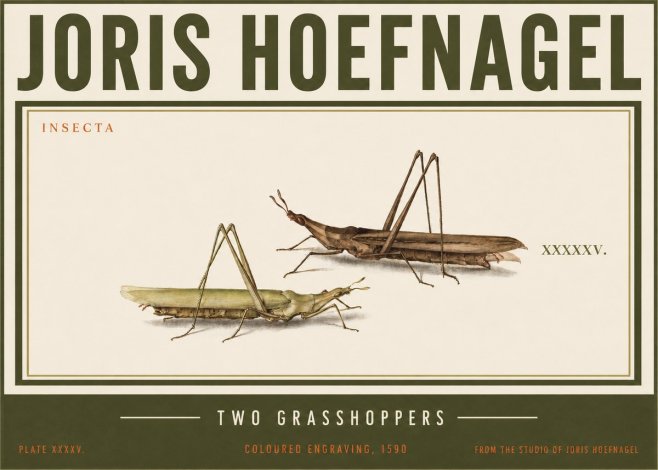 Joris Hoefnagel Two Grasshoppers No3 - Poster