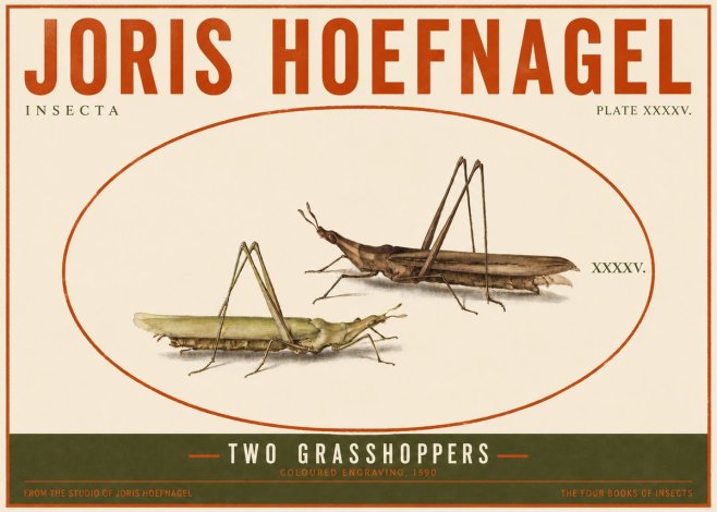 Joris Hoefnagel Two Grasshoppers No4 - Poster