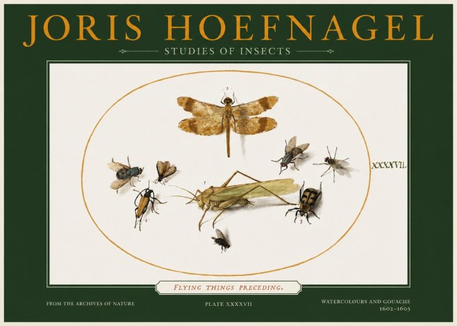 Joris Hoefnagel Flying Things Preceding. No2 - Poster