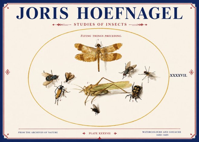 Joris Hoefnagel Flying Things Preceding. No4 - Poster