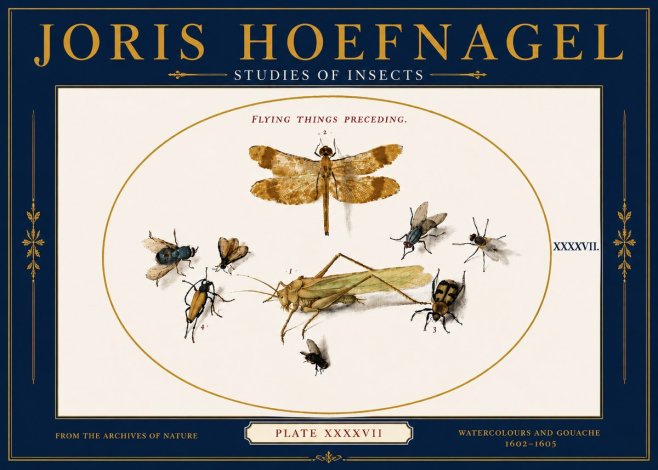 Joris Hoefnagel Flying Things Preceding. No6 - Poster