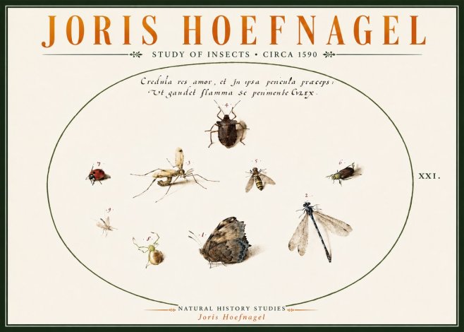 Joris Hoefnagel Study of Insects • Circa 1590 No6 - Poster
