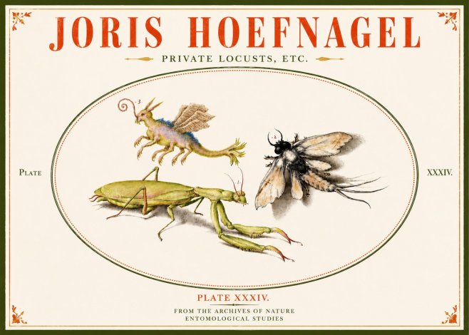 Joris Hoefnagel Privs Locvsta Bovem. No6 - Poster
