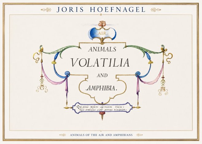 Joris Hoefnagel Animals Volatilia and Amphibia. No1 - Poster