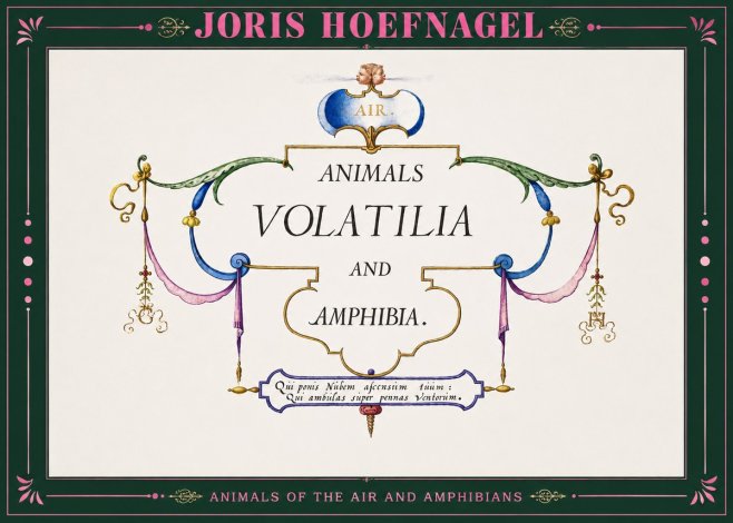 Joris Hoefnagel Animals Volatilia and Amphibia. No2 - Poster