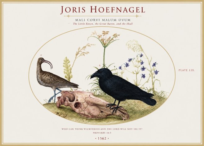 Joris Hoefnagel The Little Raven, the Great Raven, and the Skull No1 - Poster
