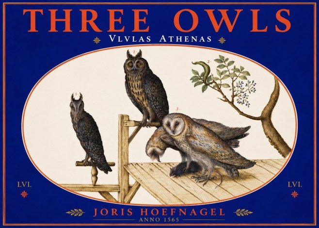Joris Hoefnagel Vlvlas Athenas No5 - Poster