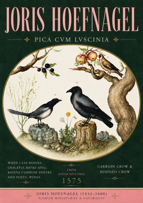 Joris Hoefnagel Carrion Crow & Hooded Crow No5 - Poster