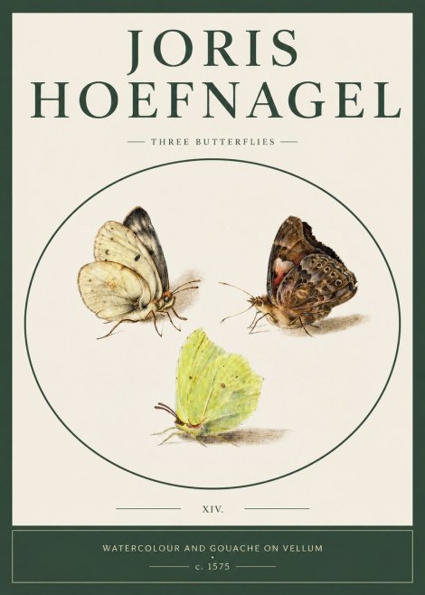 Joris Hoefnagel Three Butterflies II No2 - Poster