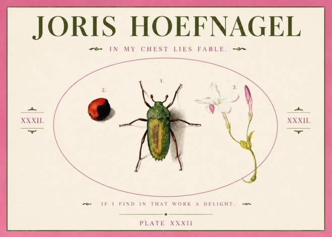Joris Hoefnagel In My Chest Lies Fable No3 - Poster
