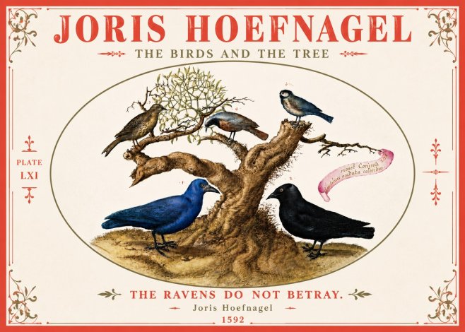 Joris Hoefnagel The Birds and the Tree No6 - Poster