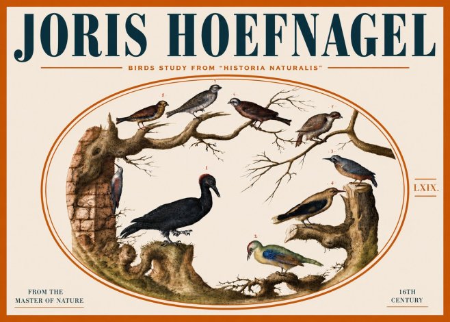 Joris Hoefnagel Birds in an Oval Frame No5 - Poster