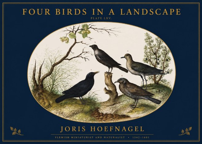 Joris Hoefnagel Four Birds in a Landscape No2 - Poster