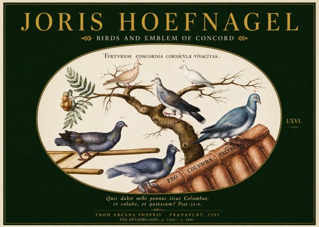 Joris Hoefnagel Birds and Emblem of Concord No3 - Poster