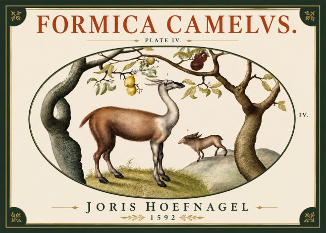 Joris Hoefnagel Formicamelus. No6 - Poster