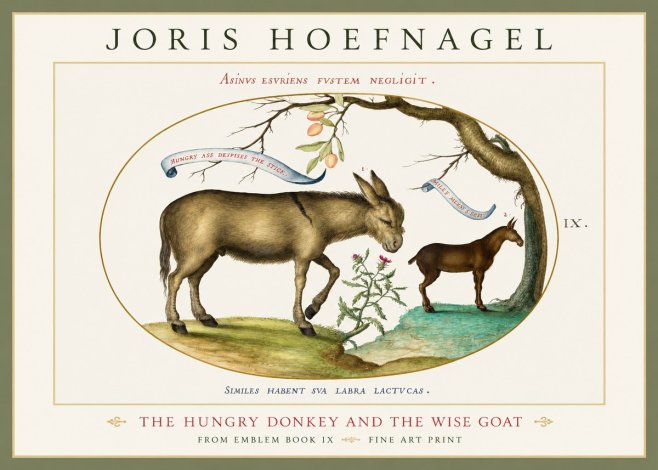 Joris Hoefnagel The Hungry Donkey and the Wise Goat No1 - Poster