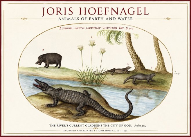 Joris Hoefnagel Animals of Earth and Water No1 - Poster