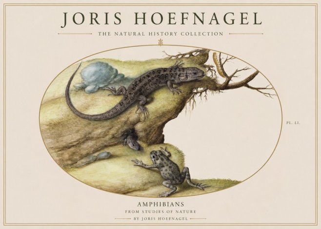 Joris Hoefnagel Amphibians from Studies of Nature No1 - Poster