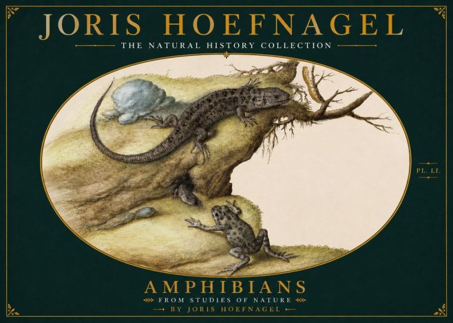 Joris Hoefnagel Amphibians from Studies of Nature No4 - Poster