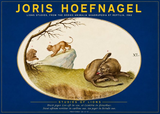 Joris Hoefnagel Lions Studies No2 - Poster