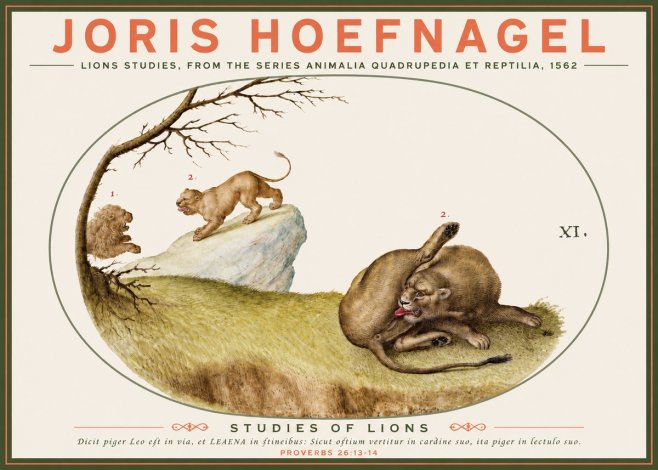Joris Hoefnagel Lions Studies No3 - Poster