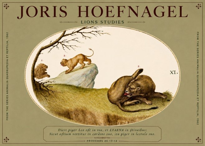Joris Hoefnagel Lions Studies No4 - Poster