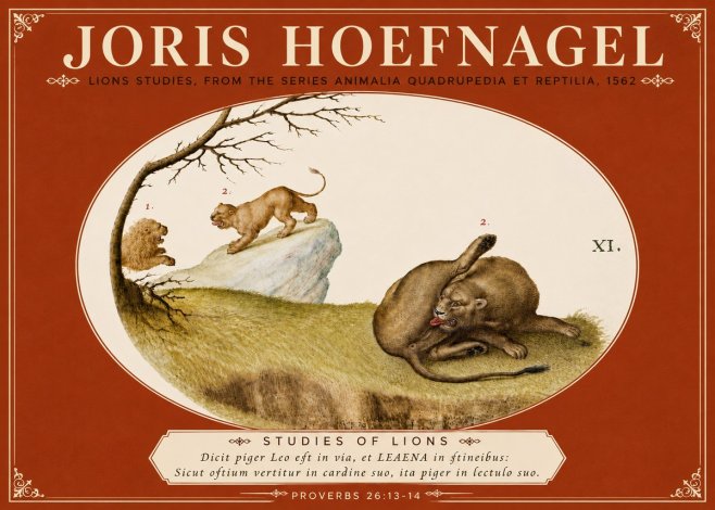 Joris Hoefnagel Lions Studies No6 - Poster