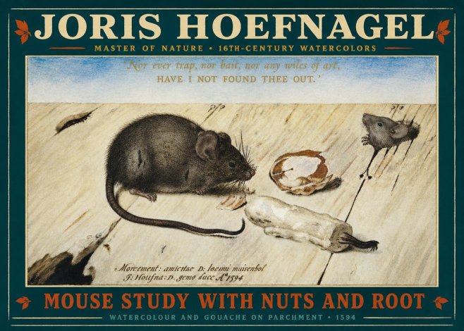 Joris Hoefnagel Mouse Study with Nuts and Root No2 - Poster