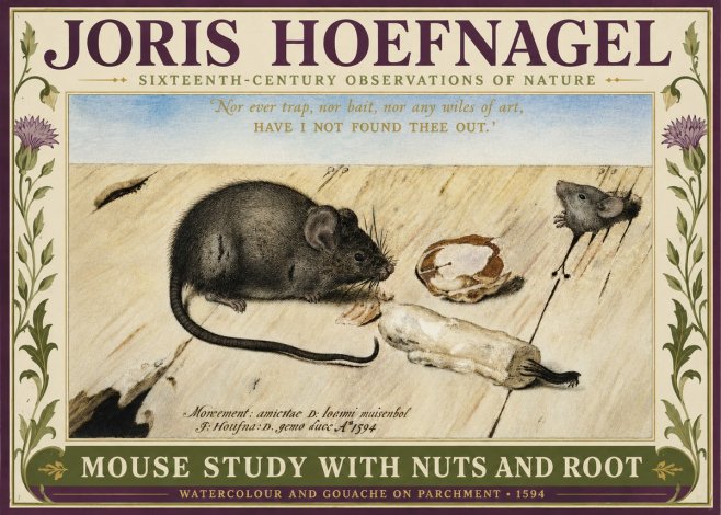 Joris Hoefnagel Mouse Study with Nuts and Root No3 - Poster