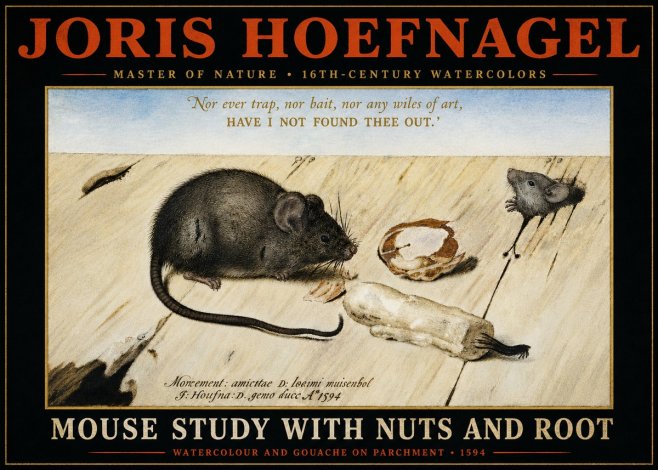 Joris Hoefnagel Mouse Study with Nuts and Root No4 - Poster