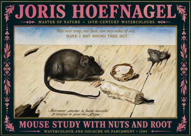 Joris Hoefnagel Mouse Study with Nuts and Root No5 - Poster